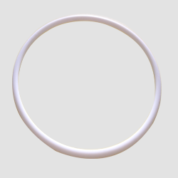 ptfe o-ring ptfe o-ring